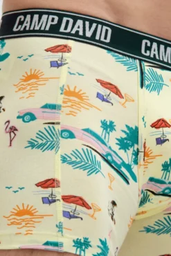 Boxershorts mit All Over Print, 2er-Pack lemon juice / new aqua