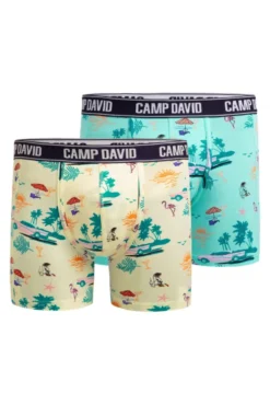 Boxershorts mit All Over Print, 2er-Pack lemon juice / new aqua