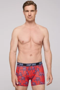 Boxershorts mit All Over Print, 2er-Pack surf grey / red
