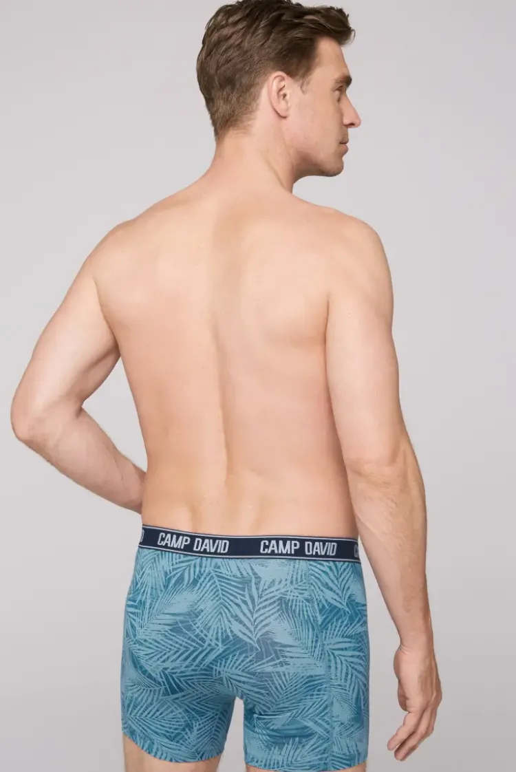 Boxershorts mit All Over Print, 2er-Pack khaki / sky blue