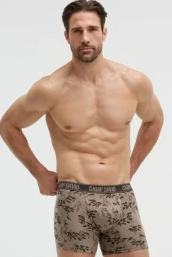 Boxershorts mit All Over Print, 2er-Pack birch / taupe