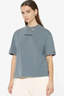 GI-LLY T-Shirt printed fog blue