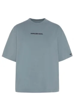 GI-LLY T-Shirt printed fog blue