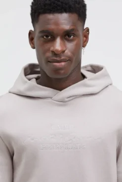 Hoodie mit Twill-Struktur und Stickerei stone