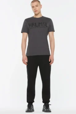 MEL-BOURNE T-Shirt Printed asphalt