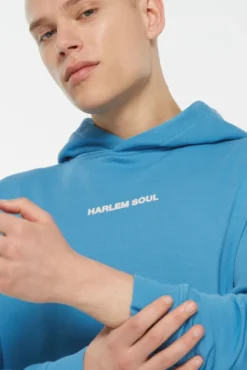 MON-TEL Hoodie Printed electro blue