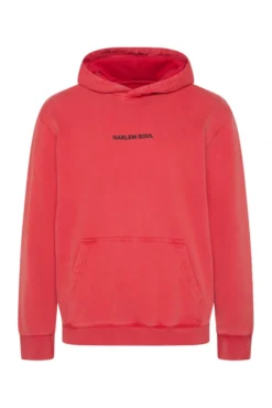 MON-TEL Hoodie printed glory