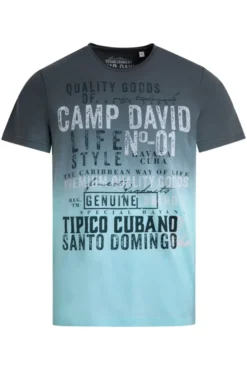 T-Shirt Dip Dye mit Vintage Print green shadow