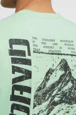 T-Shirt Relaxed Fit mit Backprint light mint